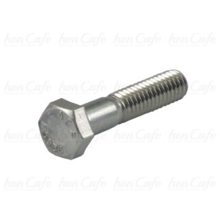 Vite a testa esagonale Inox Lucidato 1/4-28 X 7/8